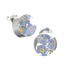 Forget-Me-Not Flower Round Stud Earrings - Sterling 925 Silver