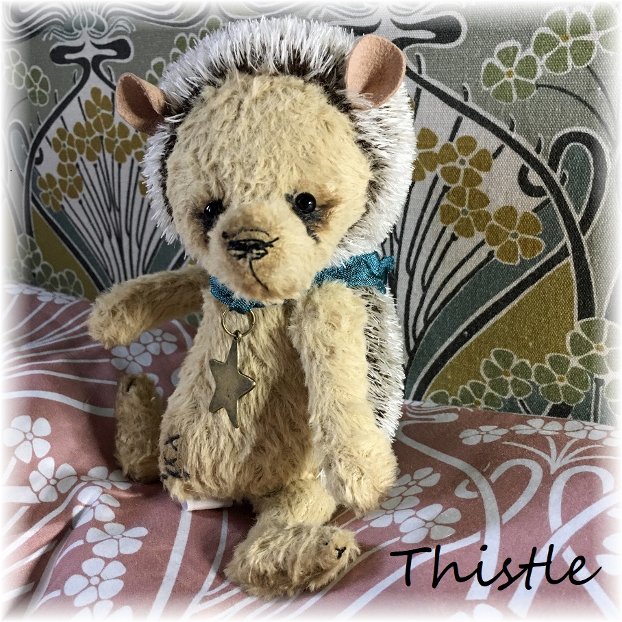 Thistle - He's a little bit prickly! ADOPTED